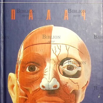 Эдуард Лимонов "Палач" - Biblion.shop