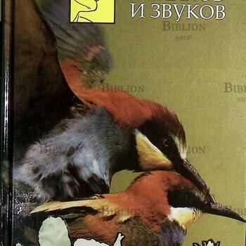 "В мире запахов и звуков ."Занимательная оториноларингология" Рязанцев Сергей - Biblion.shop
