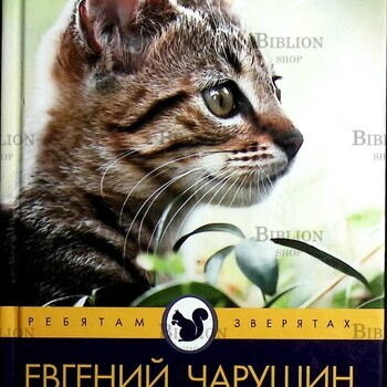 "Кошка Маруська "Чарушин Евгений (Серия "Ребятам о зверятах"), иллюстрации автора - Biblion.shop