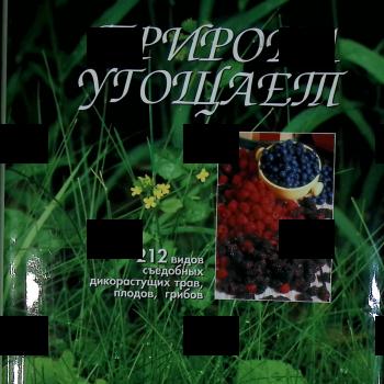 "Природа угощает: 212 видов съедобных дикорастущих трав, плодов, грибов" Мария Сергеева - Biblion.shop