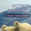 "Остров Врангеля. История, имена и названия" Саватюгин Л. М. - Biblion.shop 