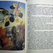 "Зимняя девочка" Сергей Иванов (1994 г,художник Александр Аземша) - Biblion.shop 
