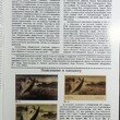 Разгаданные картины Вильгельма Котарбинского (Каталог открыток : Приложение к журналу "Филокартия") - Biblion.shop 