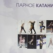  Фигурное катание: только звезды, международные турниры, эксклюзивный фотоальбом Вайцеховская Е., Вильф А. - Biblion.shop 