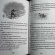 "Кошка Маруська "Чарушин Евгений (Серия "Ребятам о зверятах"), иллюстрации автора - Biblion.shop 