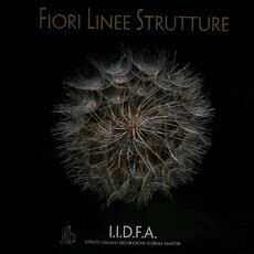 Fiori linee strutture Цветы. Линии. Структуры - Biblion.shop 