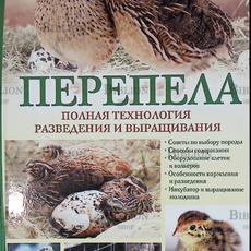 "Перепела. Полная технология разведения и выращивания" Энн-Кэтрин Гомрингер - Biblion.shop 