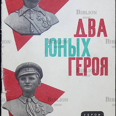 «Два юных героя» Сбойчиков М. - Biblion.shop 