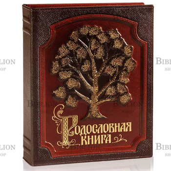 Родословная книга (в коробе) - Biblion.shop 