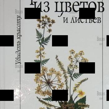 "Увидеть красоту: Картины из цветов и листьев"  Зубков Р. - Biblion.shop 